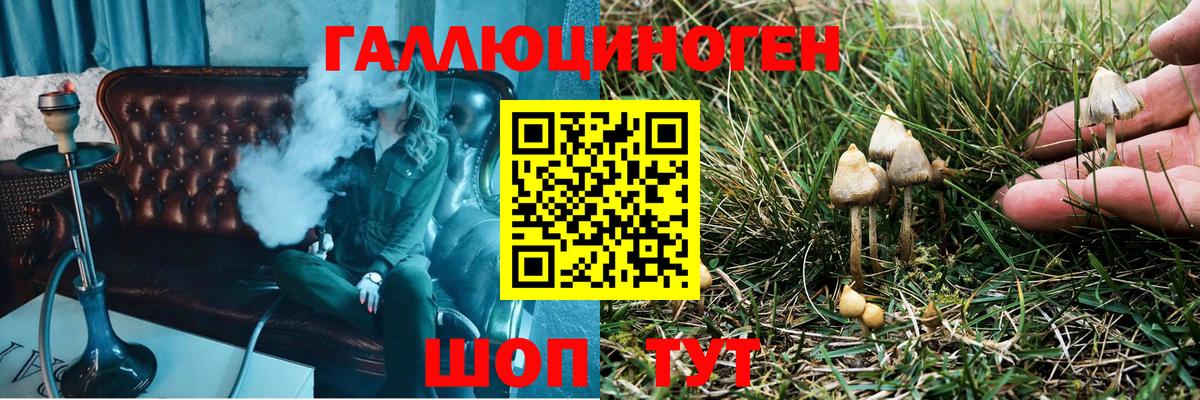 Приморско-Ахтарск  купить наркоту  Вход с VPN  Псилоцибиновые грибы мухоморы 