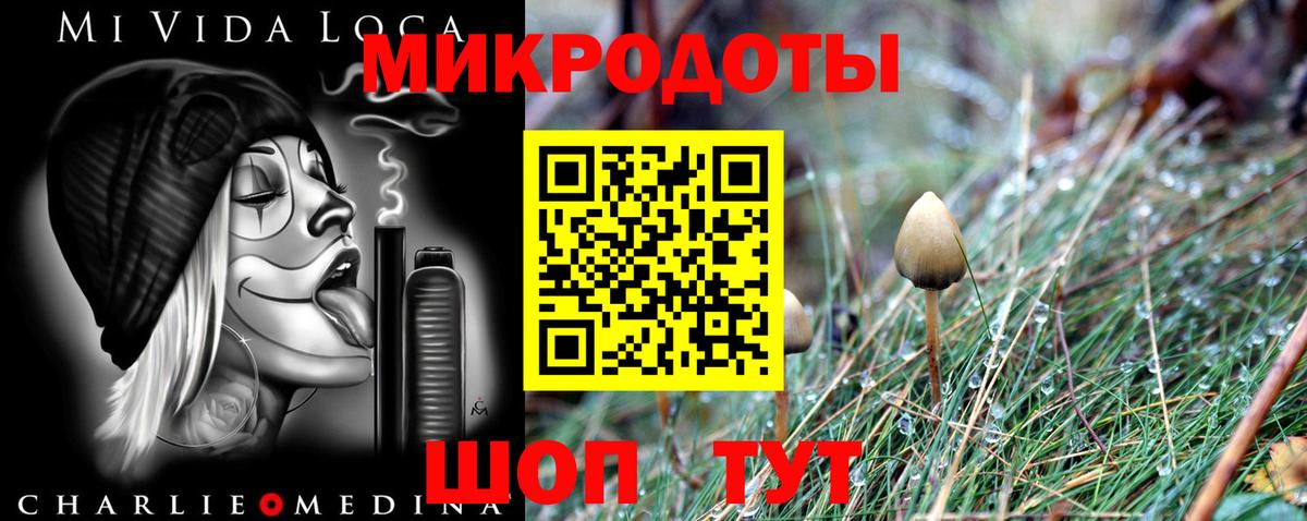 Галлюциногенные грибы прущие грибы Приморско-Ахтарск
